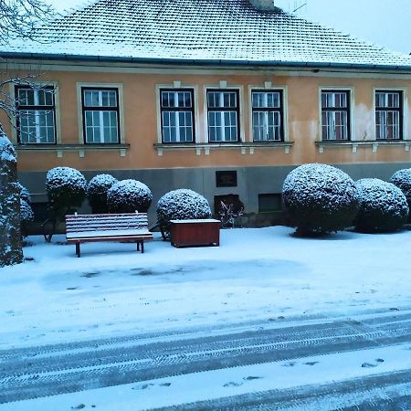 Napraforgo Apartman Tokaj Dış mekan fotoğraf
