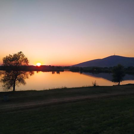 Napraforgo Apartman Tokaj Dış mekan fotoğraf
