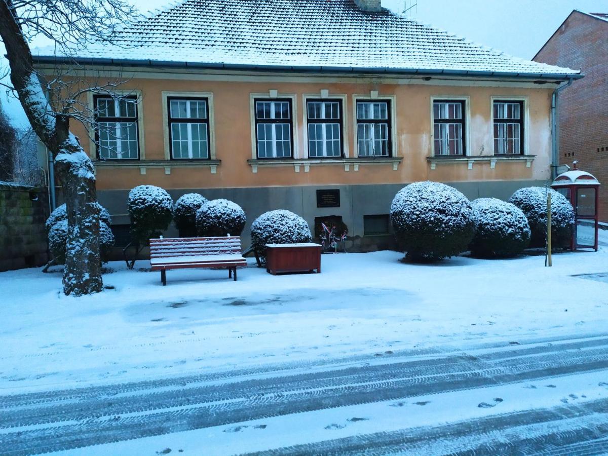 Napraforgo Apartman Tokaj Dış mekan fotoğraf