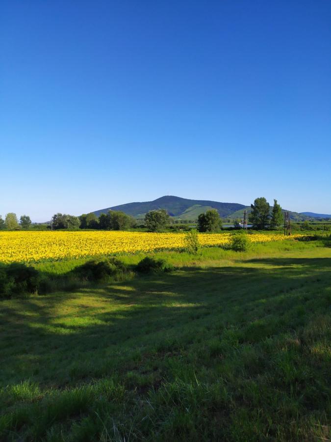 Napraforgo Apartman Tokaj Dış mekan fotoğraf